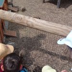 phoca_thumb_m_vp 2.den 131 Fotogalerie